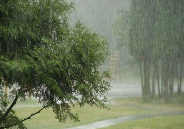 Ливень и ветер