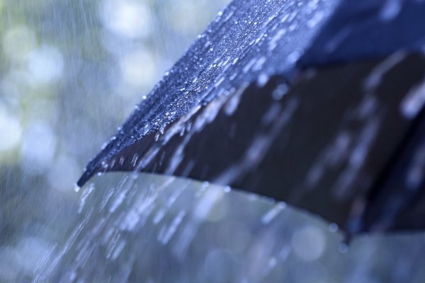 Ливень и ветер