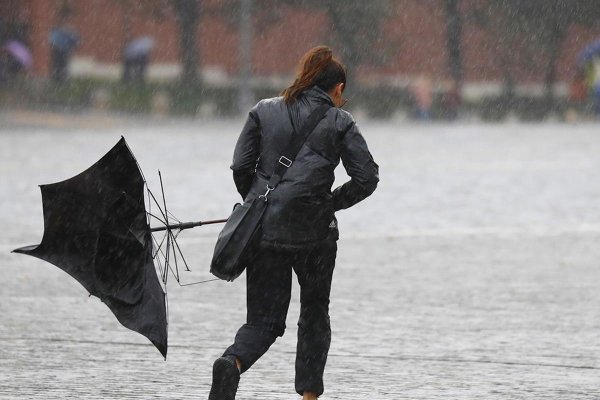 Сильный ветер и дождь