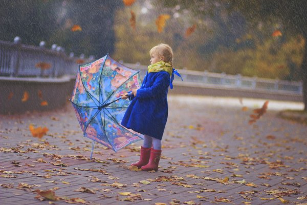 Дождливый осенний день