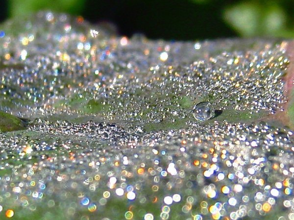 Алмазный дождь