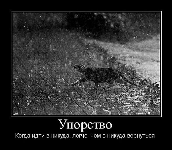Под дождем прикол