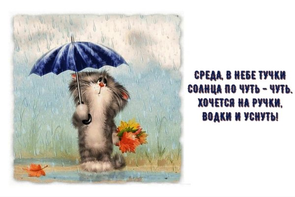 Шутки про среду
