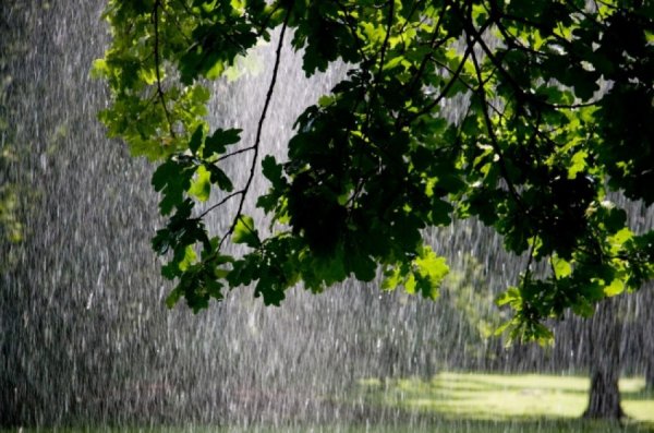 Гроза и дождь в мае