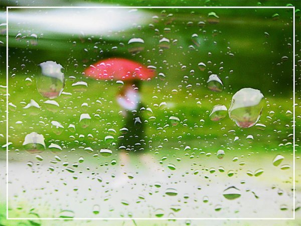 Первый летний дождик