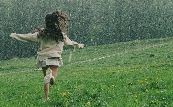 Дождливый летний день