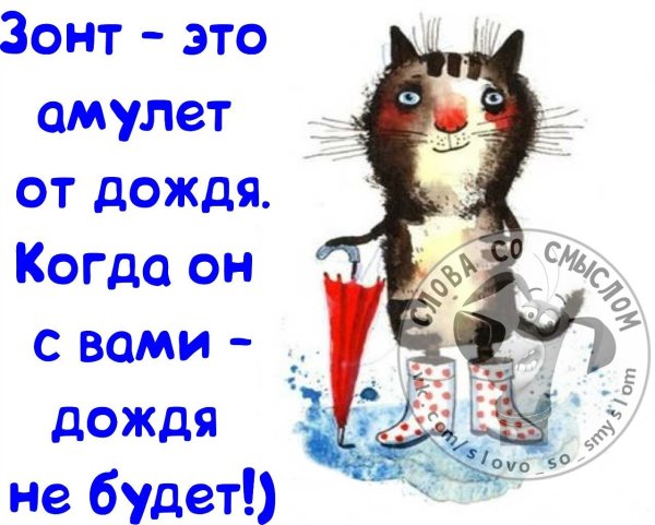 Прикольные высказывания про дождь