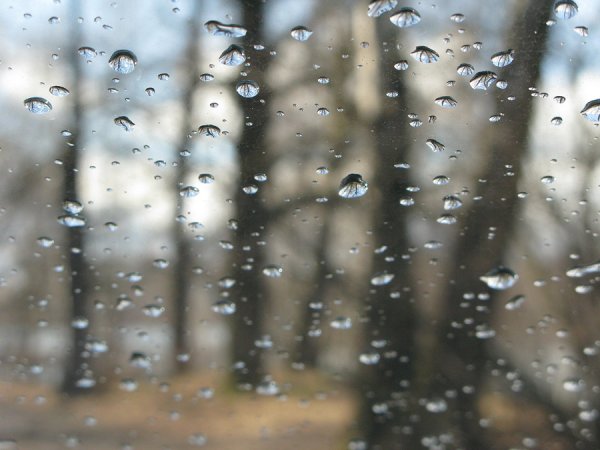 Разные дожди