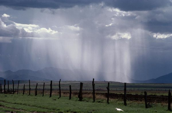 Матвей ненастный