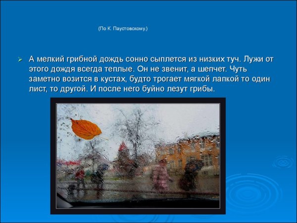 Грибной дождь про произведение грибной дождь Паустовского