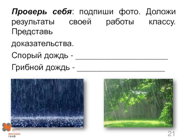 Спорый дождь описание