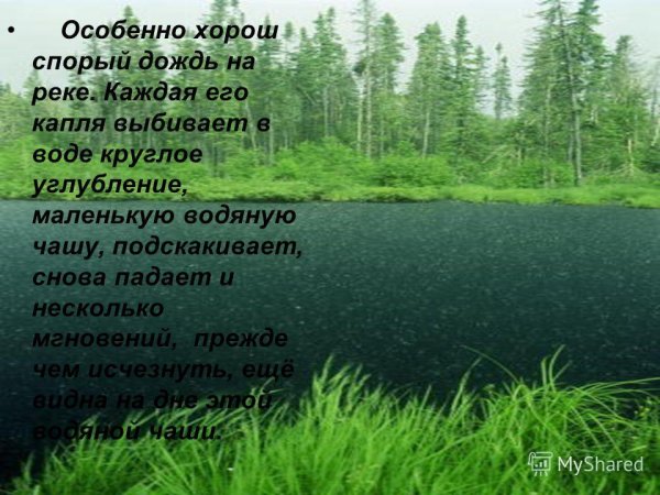 Спорый дождь на реке