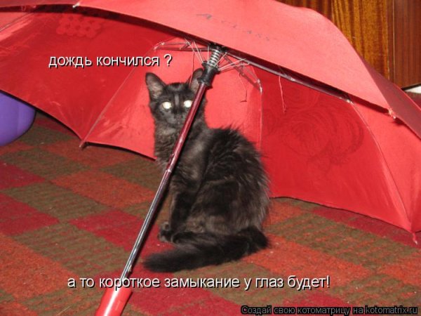 Дождь закончился