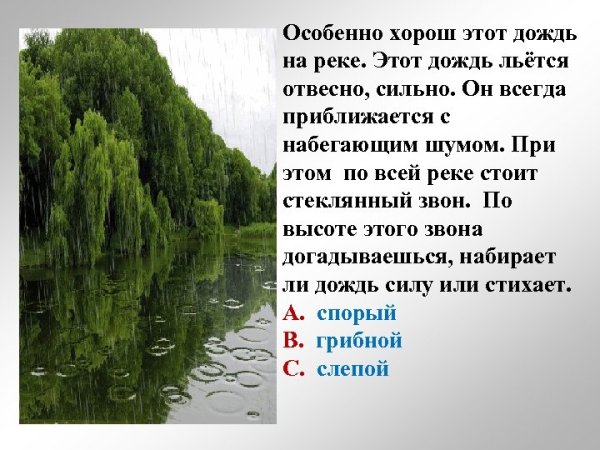 Художественное описание дождя