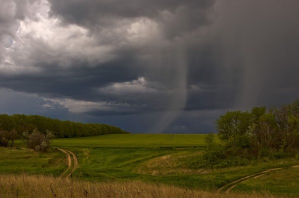 Гроза с дождем летом