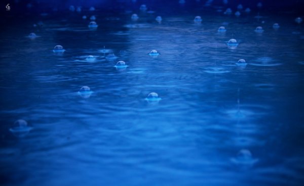 Синий дождь