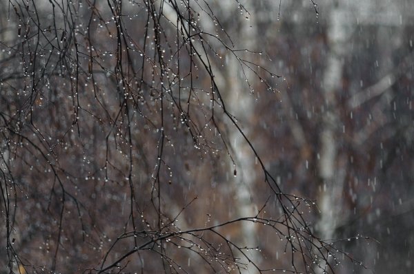 Мокрый снег Весна