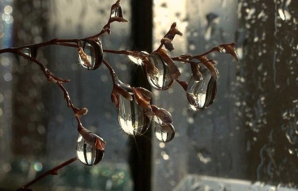 Весенняя оттепель