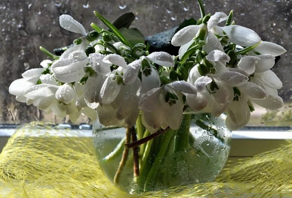 Валевская Валентина. Натюрморт с подснежниками.