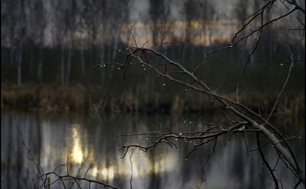 Холодная и дождливая Весна