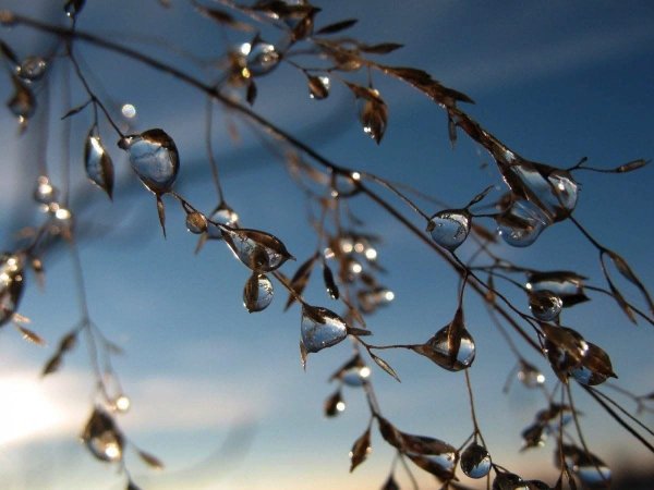 Весна капель