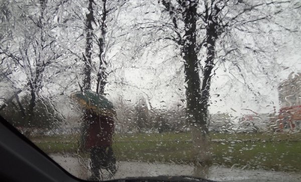 Дождь ранней весной