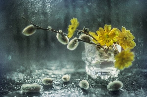 Апрельского настроения