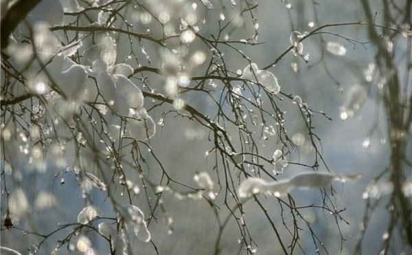 Весенний снегопад