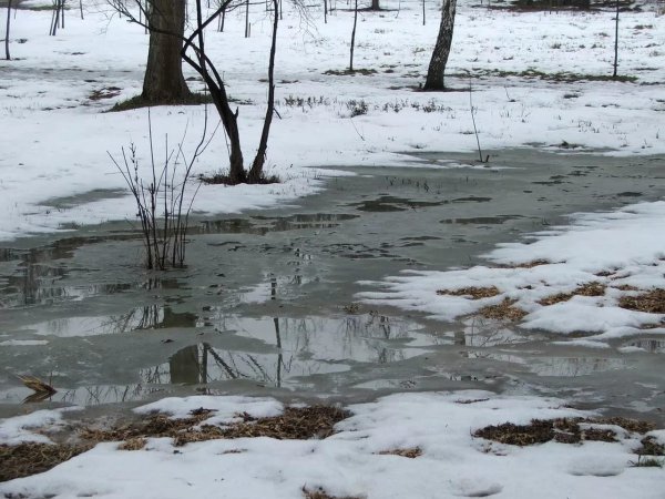 Таяние снега весной