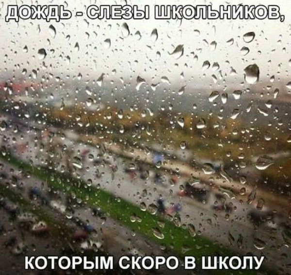 Приколы про дождь