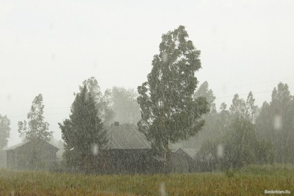 Обложной дождь