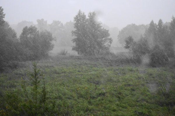 О̊б̊л̊о̊ж̊н̊ы̊й̊ д̊о̊ж̊д̊ь̊