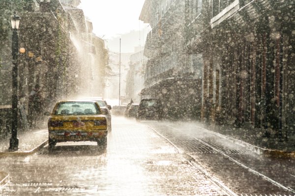 Обложной дождь картинки