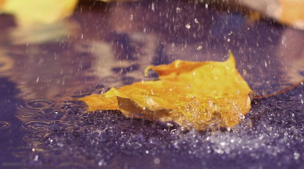 Обложной дождь фото