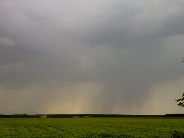 Обложной дождь