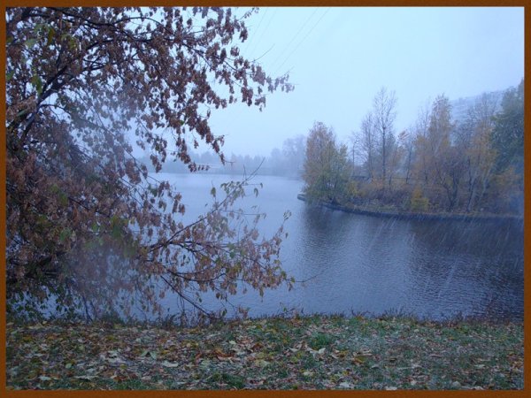 Моросящий осенний дождь