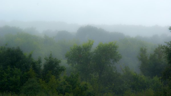 Обложные осадки