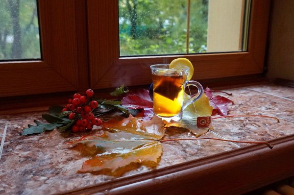 Чай на подоконнике осенью
