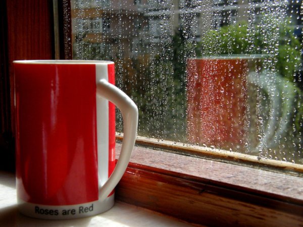 Красная Кружка на окне