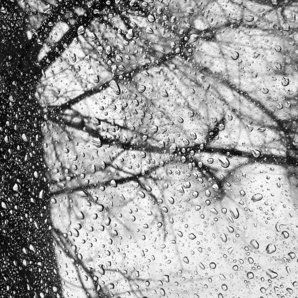 Черно белый дождь