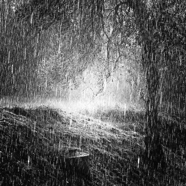 Мрачный дождь