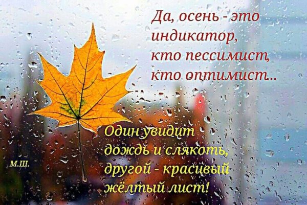 Осень это индикатор кто оптимист кто пессимист
