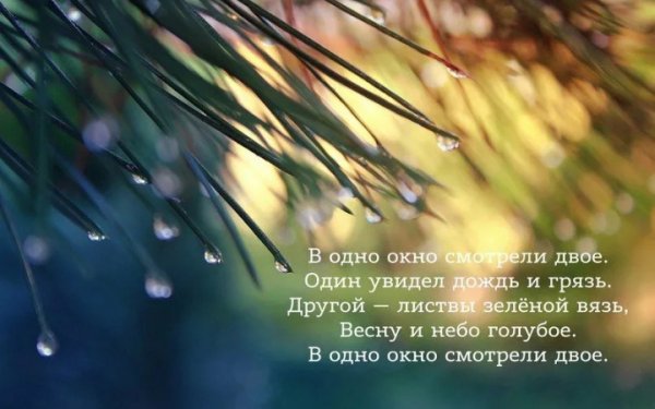 Один увидел дождь и грязь другой листвы