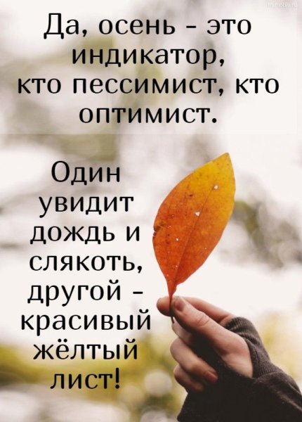 Осенние высказывания