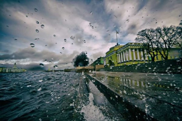 Питер ливень Нева