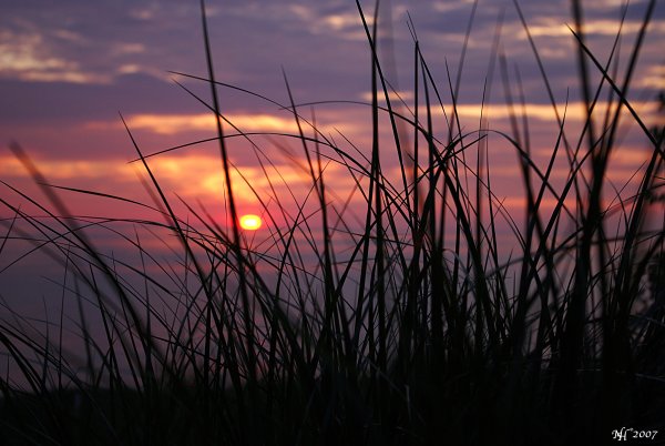 Дождь на рассвете