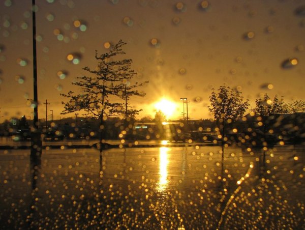 Дождливый рассвет