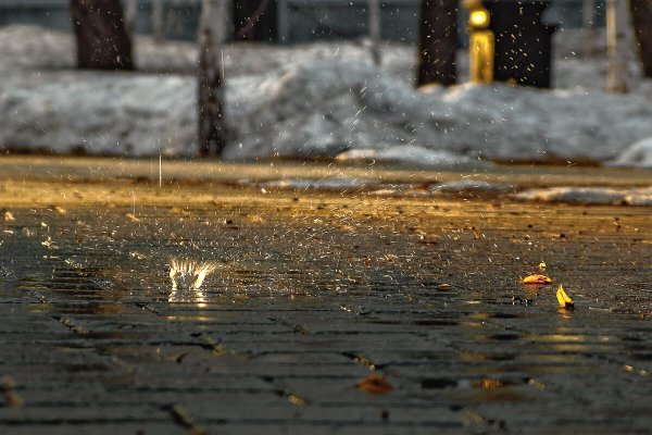 Дождь в марте