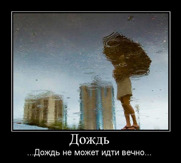 Смешные высказывания про дождь