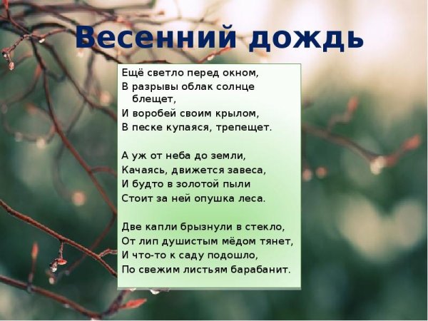 Весенний дождь Фет